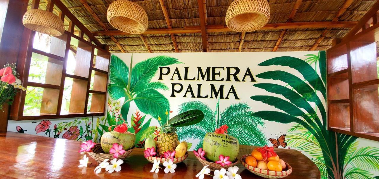 Palmera Palma Top Floor Moalboal Zewnętrze zdjęcie